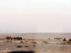 IMG_5326 - Weg nach Palmyra